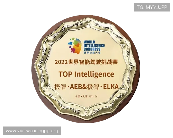 问鼎国际首页官方网站在国际市场推广中的应用与成功案例分析