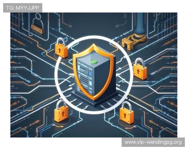 问鼎正规官网：正规官网在网络安全中的保障措施与防护策略