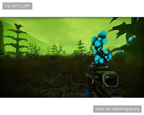 问鼎软件下载保障每个软件的正版授权，打造安全绿色的软件下载环境