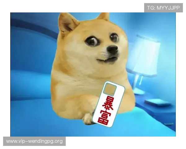 问鼎国际app下载安装最新版带你体验全球最火热的竞技娱乐新玩法 问鼎国际app下载安装最新版带你体验全球最火热的竞技娱乐新玩法