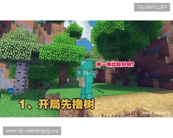 问鼎娱乐平台最全新手指南帮助新手玩家快速适应游戏环境